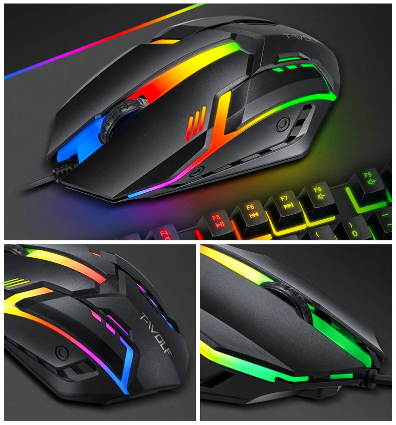 ThunderWolf 4-in-1 Complete Setup Kit