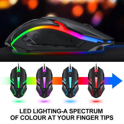 ThunderWolf 4-in-1 Complete Setup Kit