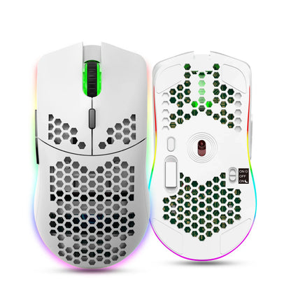 HXSJ T66 RGB 2.4G Wireless Gaming Mouse
