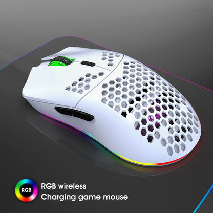 HXSJ T66 RGB 2.4G Wireless Gaming Mouse